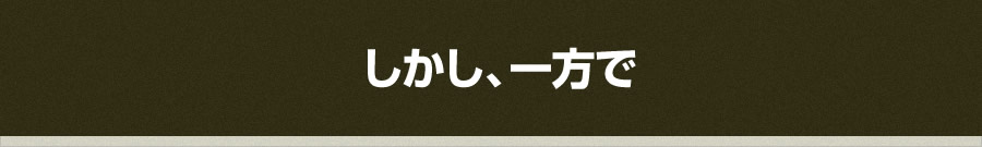 しかし、一方で