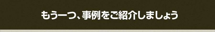 もう一つ、事例をご紹介しましょう